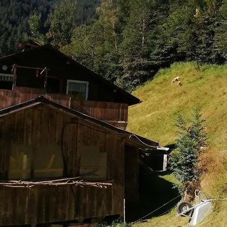 Ferienwohnung In Abgelegener Ski- Und Wanderhutte Lejlighed *