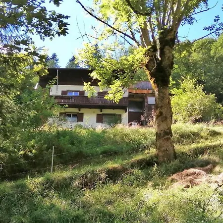 Appartement Ferienwohnung In Abgelegener Ski- Und Wanderhutte